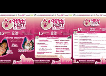 Fomenta Gobierno de la Ciudad tenencia responsable de gatos con el «Michi Fest»