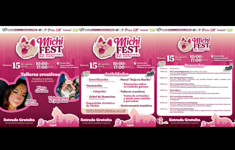Fomenta Gobierno de la Ciudad tenencia responsable de gatos con el «Michi Fest»
