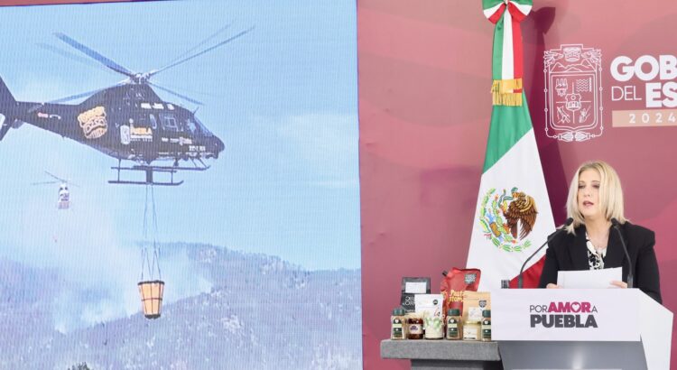 Gobierno Estatal reduce 55% la superficie afectada por incendios forestales