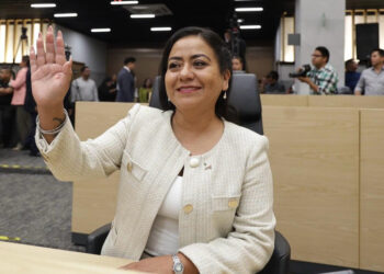 Diputada Celia Bonaga propone reforma para garantizar la procedencia legal de productos forestales