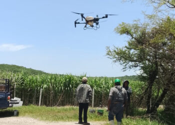Drones agrícolas atienden de forma oportuna 60 hectáreas de caña en Tepeojuma