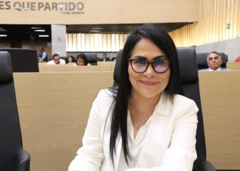 Plantea diputada Fedrha Suriano reconocer a víctimas de daños ambientales