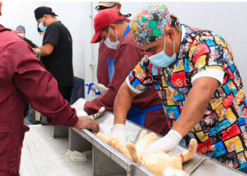 Con el liderazgo de Pepe Chedraui, Puebla fortalece el bienestar animal con más de 200 jornadas de protección animal
