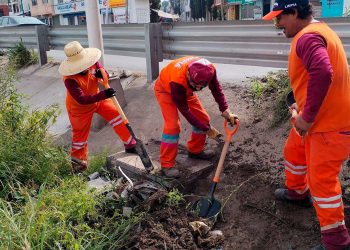 Gobierno de Pepe Chedraui fortalece acciones preventivas ante la temporada de lluvias