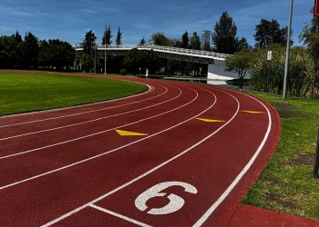 Convenciones y Parques mantiene atención de los parques Metropolitano y del Arte
