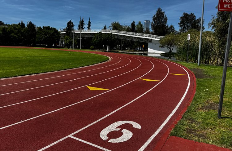 Convenciones y Parques mantiene atención de los parques Metropolitano y del Arte