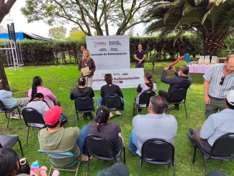 Gobierno estatal plantará 2 millones de árboles con visión integral de restauración