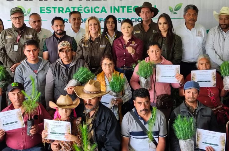 Respalda gobierno estatal nuevo patrimonio natural de 626 mil árboles en Zacatlán