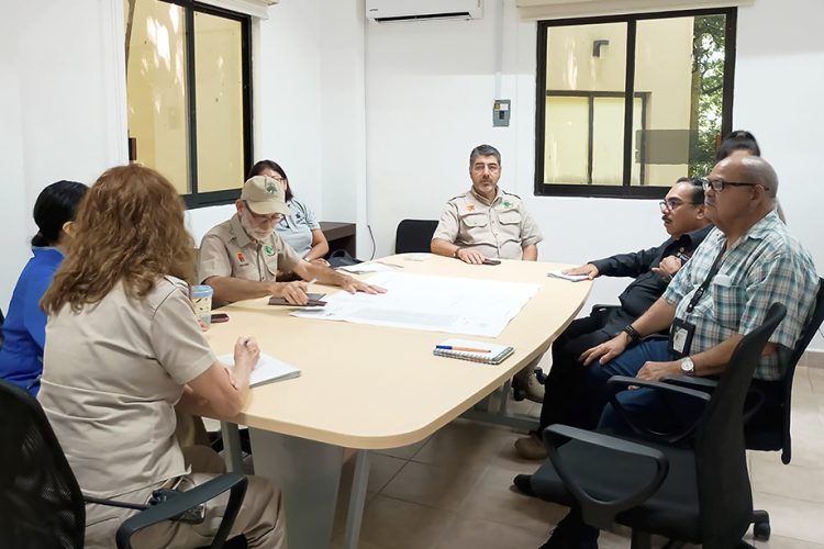 Descarta Senasica afectaciones por influenza aviar en Chiapas