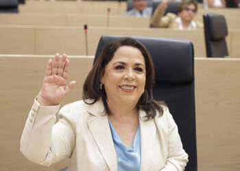 Plantea diputada Soledad Amieva la creación de una Policía de Atención Inmediata a las Mujeres y a las violencias