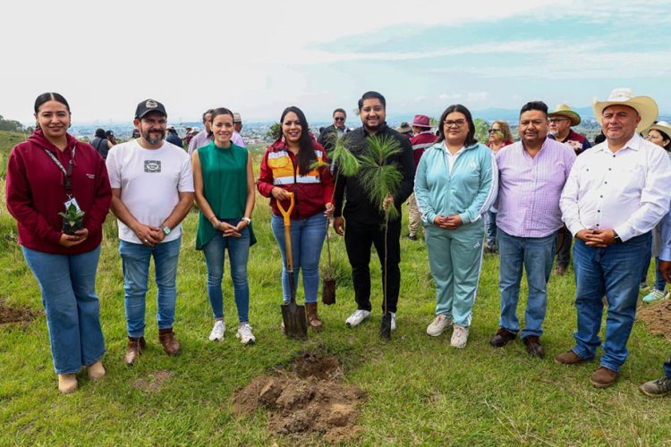Impulsa Tonantzin Fernández acciones permanentes de reforestación en el Cerro Zapotecas