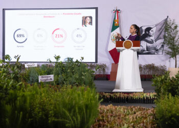 Próximo 9 de agosto inicia Jornada Nacional de Reforestación: presidenta Sheinbaum