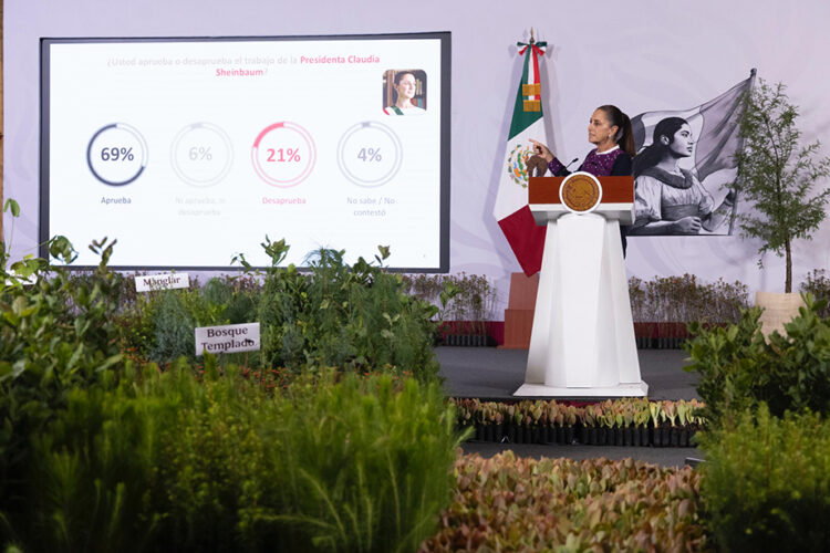 Próximo 9 de agosto inicia Jornada Nacional de Reforestación: presidenta Sheinbaum