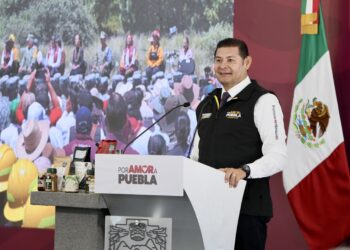 Gobierno Estatal refuerza protección de bosques y garantiza vivienda a guardias forestales