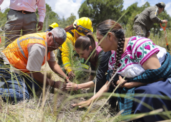 Claudia Sheinbaum encabeza inicio de la Jornada Nacional de Reforestación 2026