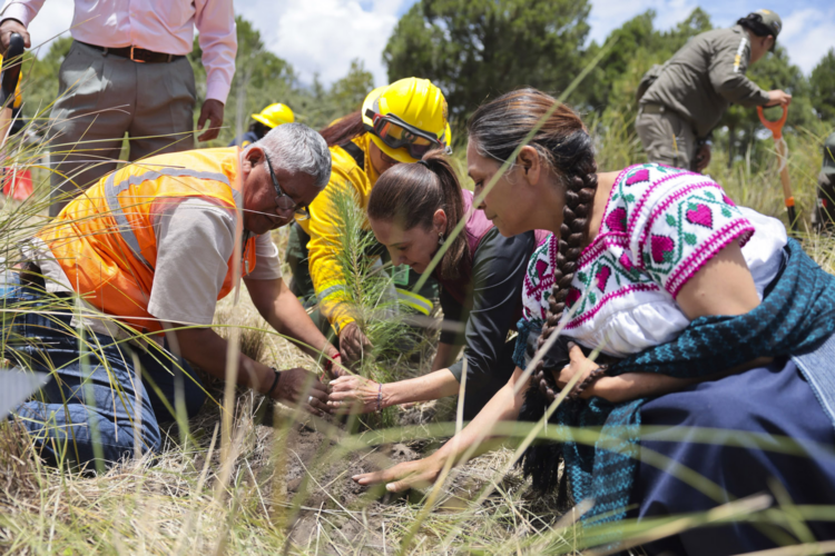 Claudia Sheinbaum encabeza inicio de la Jornada Nacional de Reforestación 2026