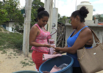 Festival “Culturas Afro en Los Pinos: sabores y saberes” celebra la riqueza afromexicana