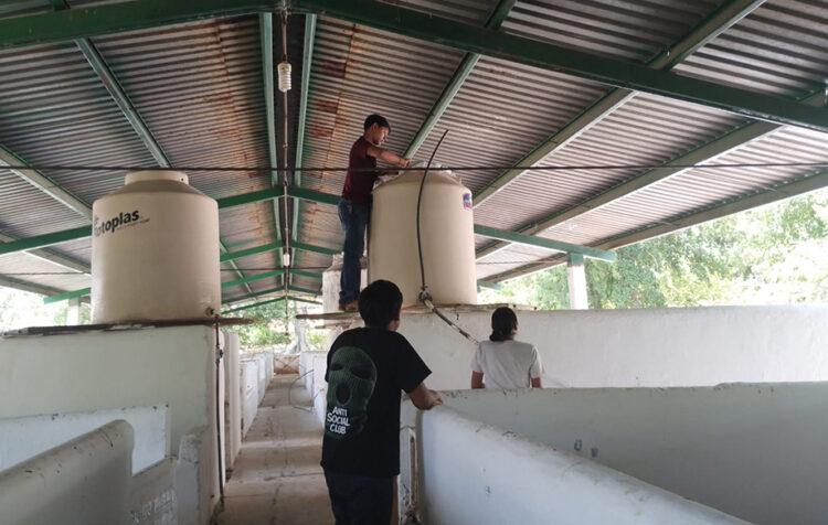 Trabajo manual y conciencia social: proyecto educativo de Antorcha en CBTa 110