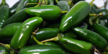 Ahora es brote de salmonela en EU por los chiles jalapeños