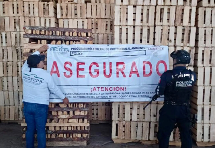 SSP y PROFEPA clausuran aserraderos en Chignahuapan y Aquixtla